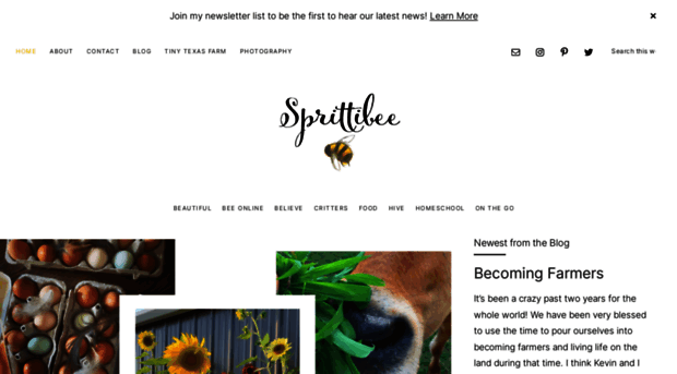 sprittibee.com