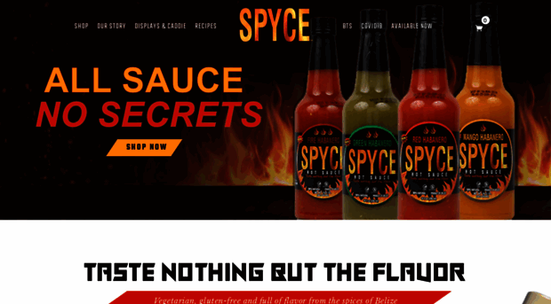 spycesauce.com