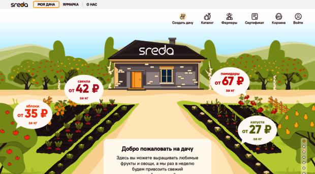 sreda.one