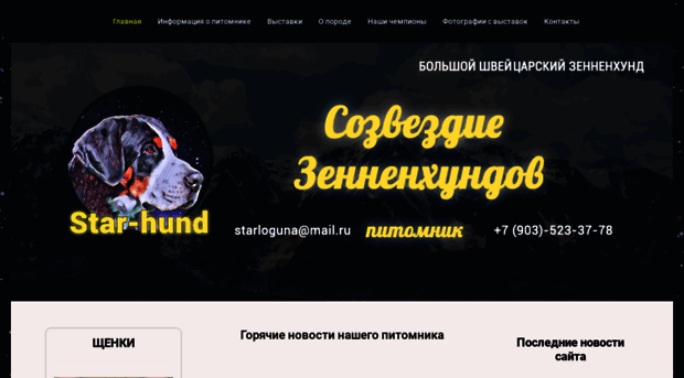 star-hund.ru