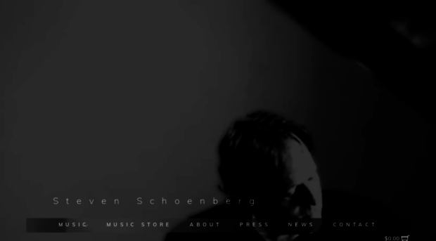 stevenschoenberg.com