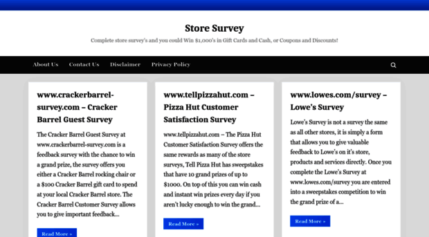 store-survey.com