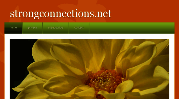 strongconnections.net