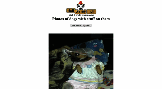 stuffonmymutt.com