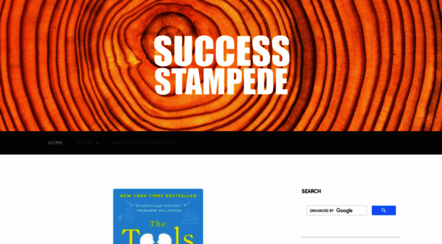 successstampede.com