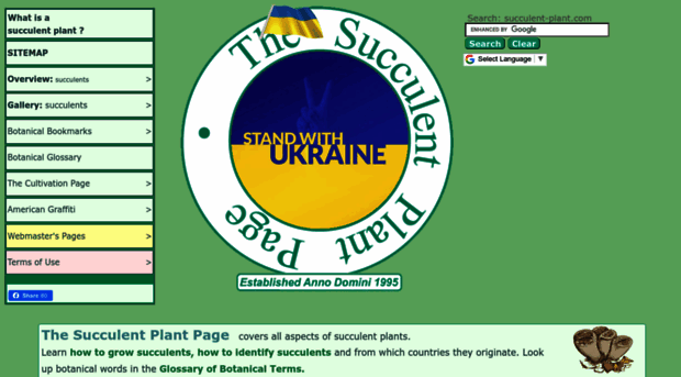 succulent-plant.com