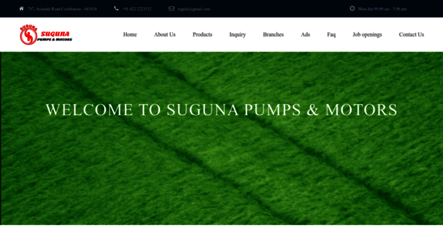 sugunapumps.com