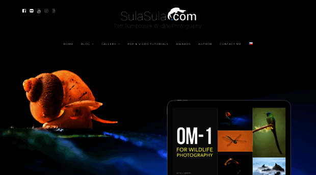 sulasula.com
