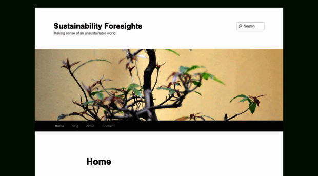 sustainabilityforesights.com