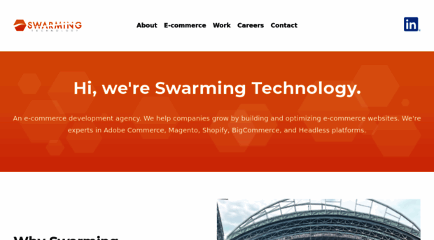 swarminglabs.com
