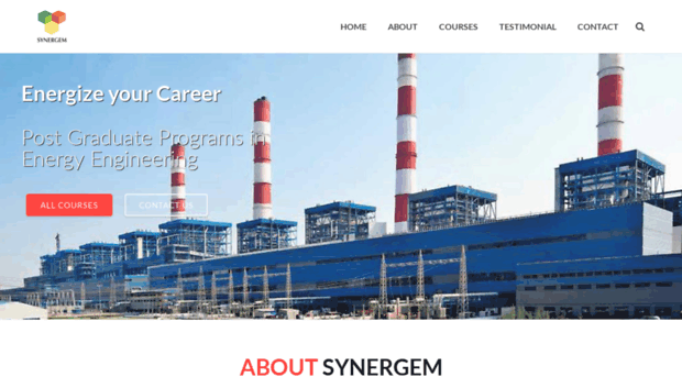 synergemindia.com