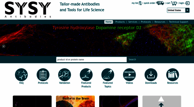 sysy.com