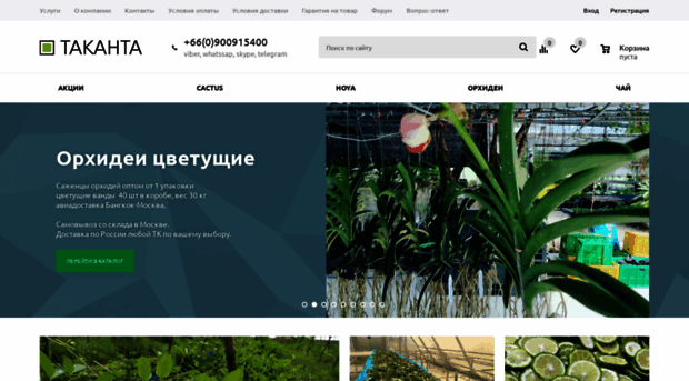 takanta.ru