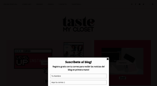 tastemycloset.com