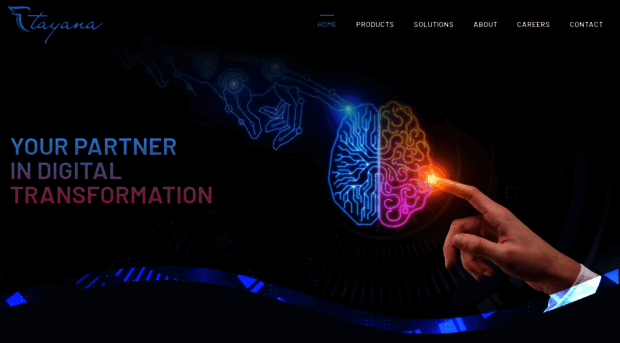 tayanasoftware.com