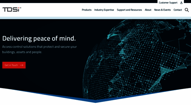 tdsi.co.uk