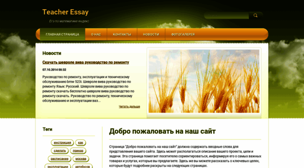 teacher-essay.webnode.ru