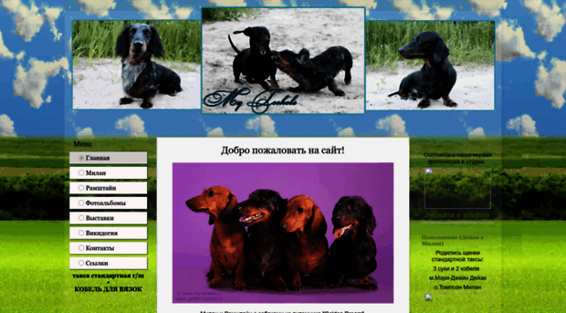 teckels.okis.ru