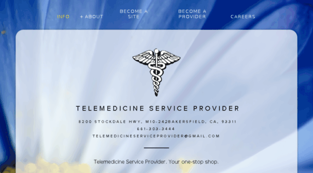 telemedicineserviceprovider.com