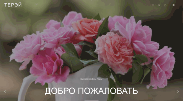 terei.ru