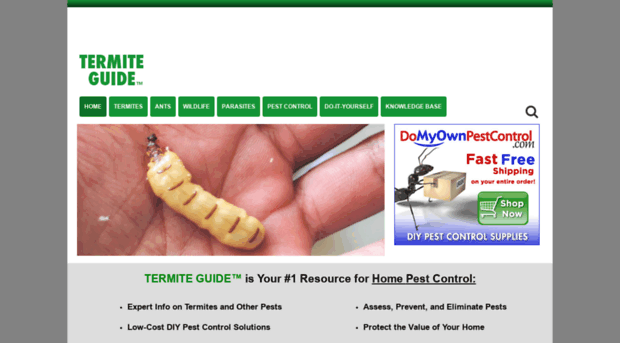 termiteguide.com