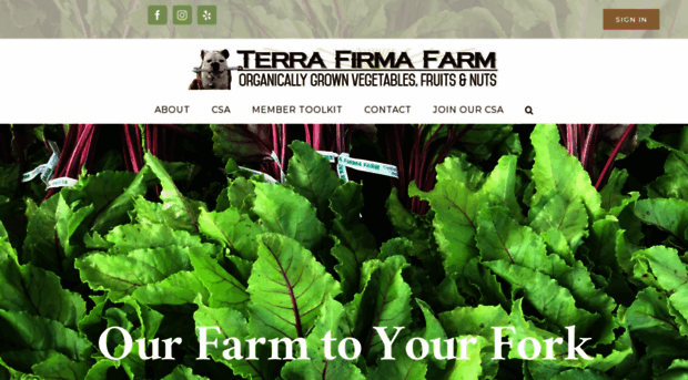 terrafirmafarm.com