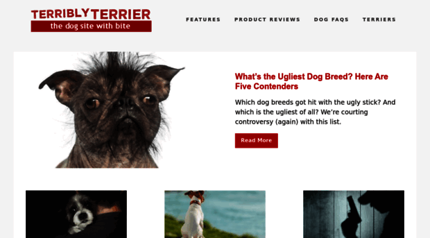 terriblyterrier.com
