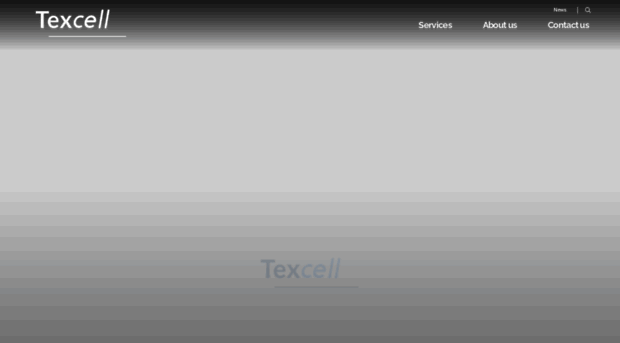 texcell.com