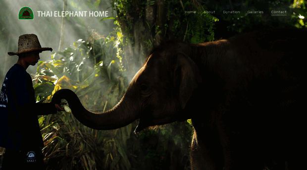 thaielephanthome.com