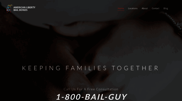 thebailguy.net