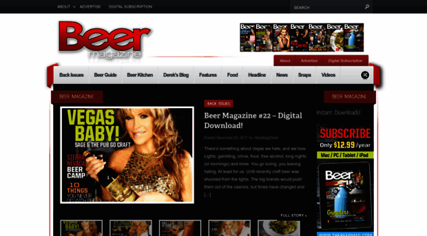 thebeermag.com