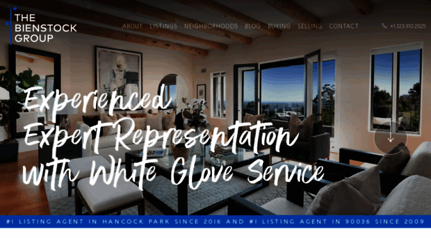 thebienstockgroup.info