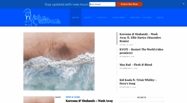 thebluewalrus.com