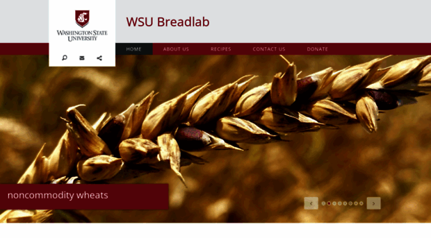 thebreadlab.wsu.edu