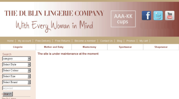 thedublinlingeriecompany.ie