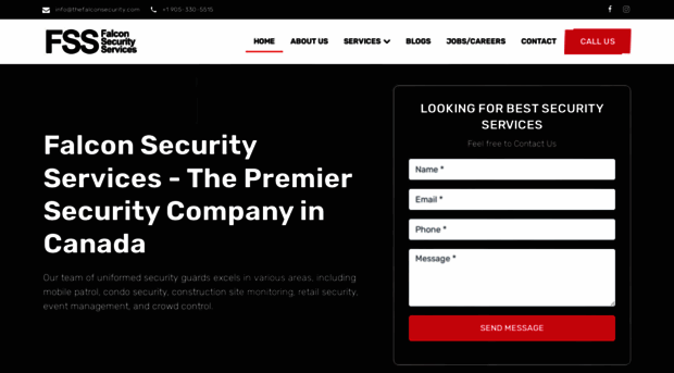 thefalconsecurity.com