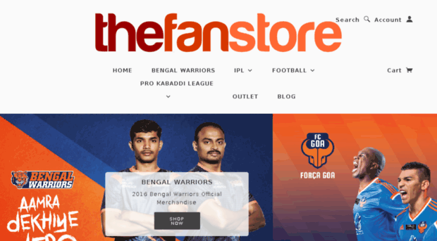 thefanstore.in