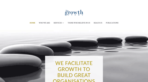 thegrowthstory.in