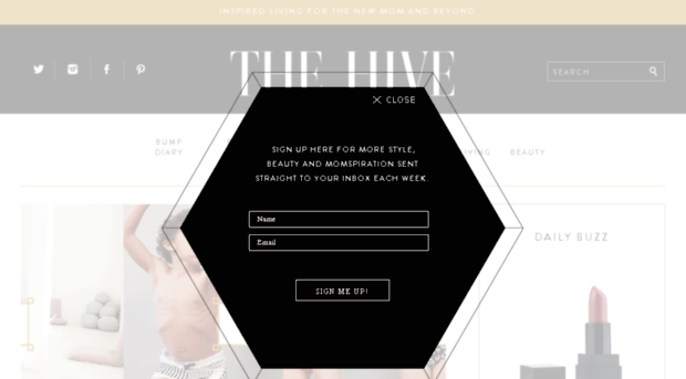 thehivemag.com