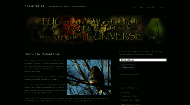 thelightfields.wordpress.com