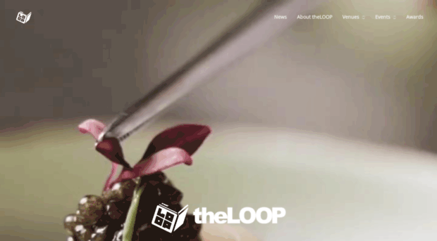 theloop-production.com