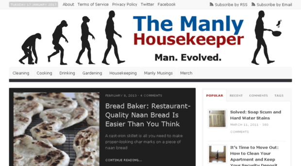 themanlyhousekeeper.com