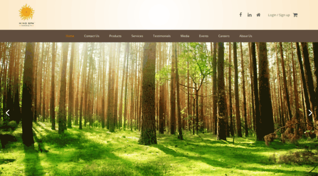 themindspa.in