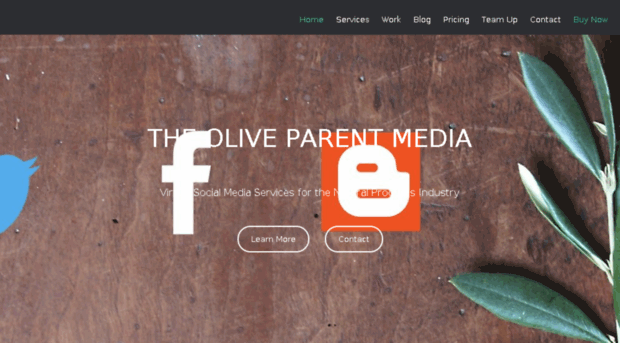 theoliveparentmedia.com