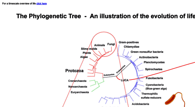 thephylogenetictree.com
