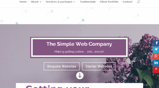 thesimplewebinarcompany.com