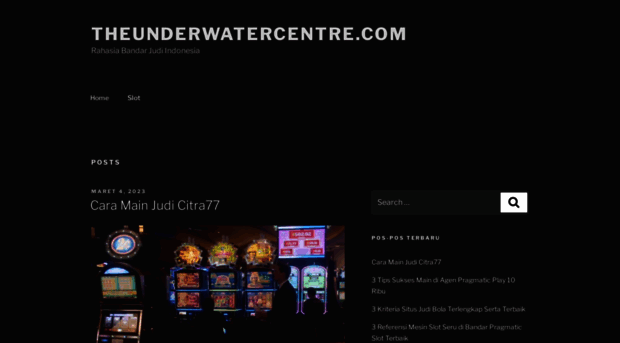 theunderwatercentre.com