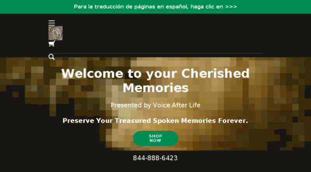 thevoiceafterlife.com