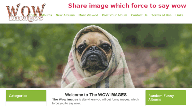 thewowimages.com