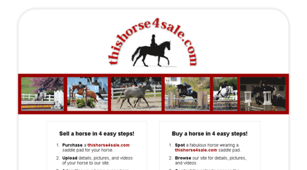 thishorse4sale.com